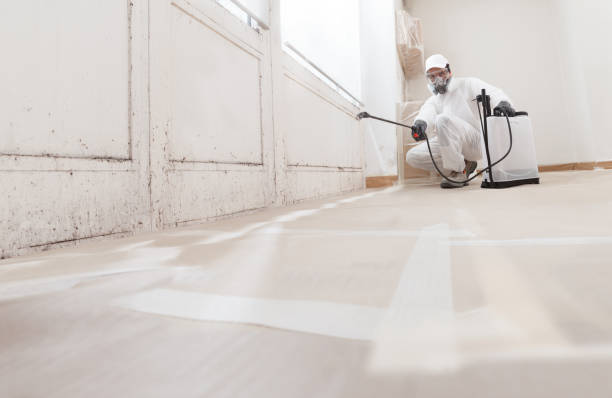 24/7 Emergency Mold Remediation experts in Hawthorne, FL
